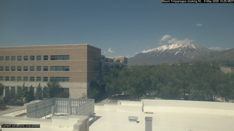 Current image of Timp